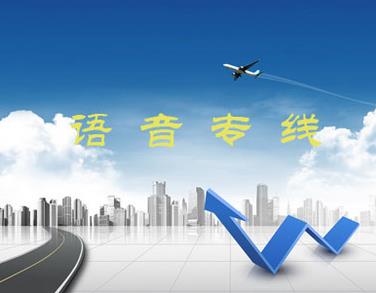 语音专线